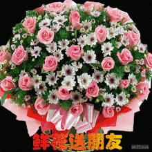 鲜花_百度图片搜索