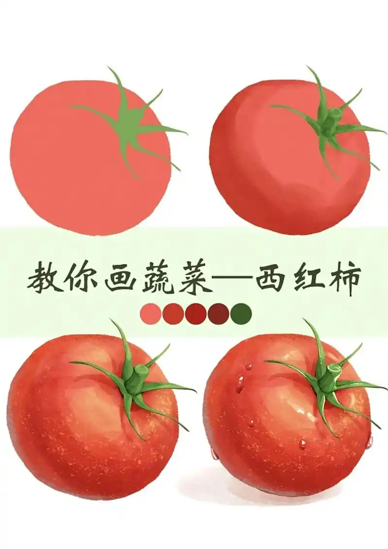 插画笔刷|西红柿.蔬菜教程_西红柿来咯#插画 #蔬菜如何画  - 抖音