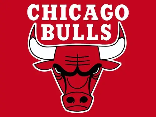 chicago_bulls2