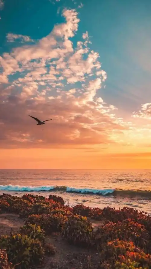 破晓前最飘逸的伏笔——黄昏