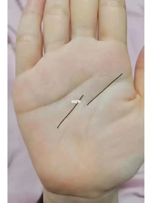 这位女士智慧线有两条,适合学习技能的特征,可以多往技术行业研究发展