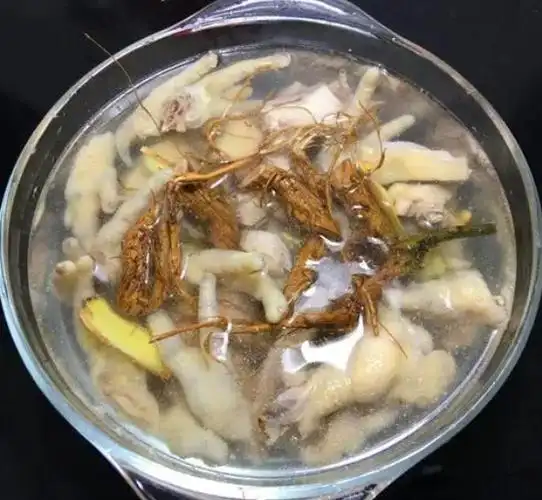 臭牡丹根炖鸡的功效