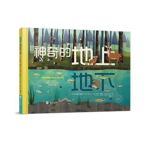 神奇的地上地下 神奇的地上地下