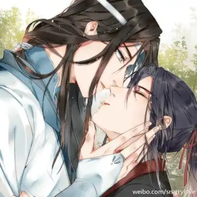 魔道祖师 忘羡天天