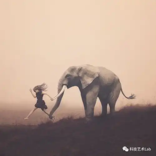 艺术赏析018约束感摄影bykyllisparre