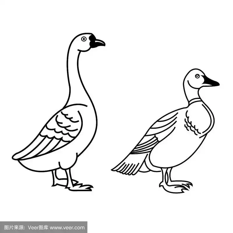 鸭子轮廓图标孤立在白色背景