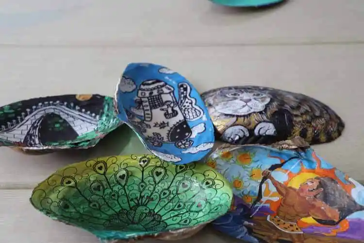 河蚌壳的用途(河蚌壳有什么用功效)