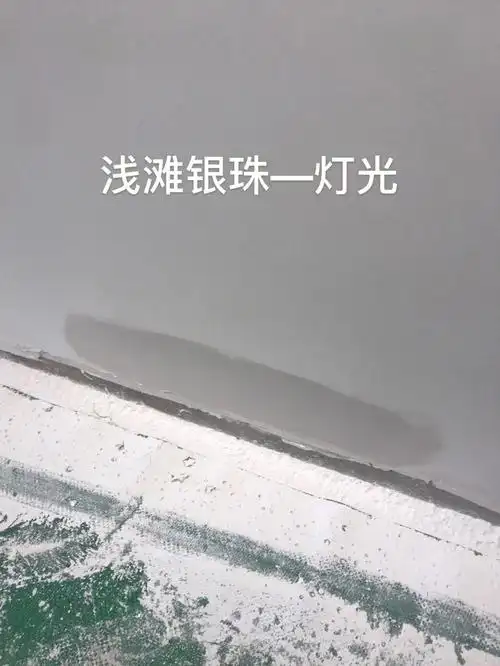 最真实的浅滩银珠和白骆驼