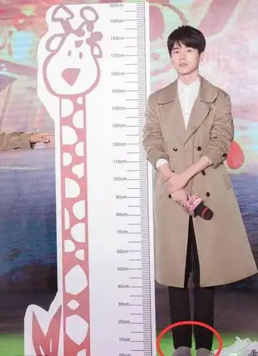 刘昊然身高已经一米八还要增高鞋垫?网友:我也要同款