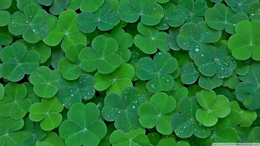 有哪些好看个性舒心的电脑壁纸? - 知乎