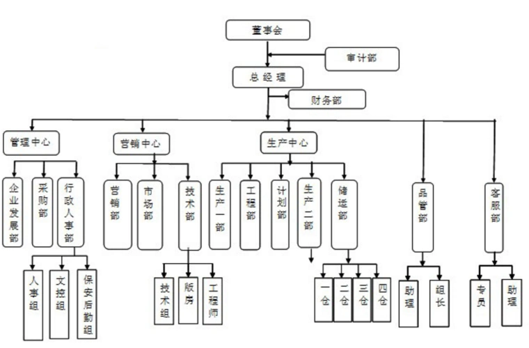(三)矩阵式组织结构