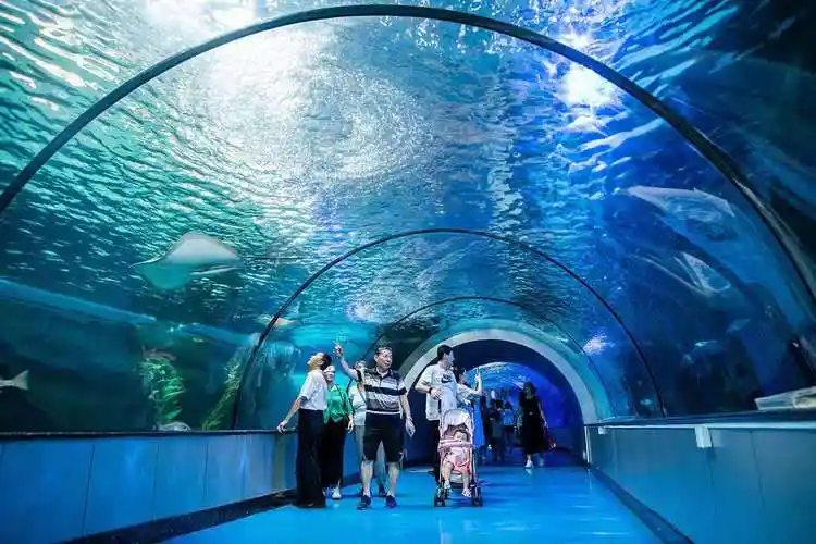 济南,黄河北岸,享受海的清凉_水上世界