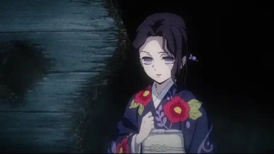 珠世- 堆糖,美图壁纸兴趣社区