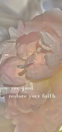 仙仙的奶油色壁纸