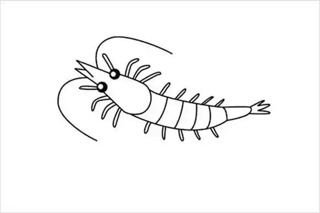 卡通大虾简笔画