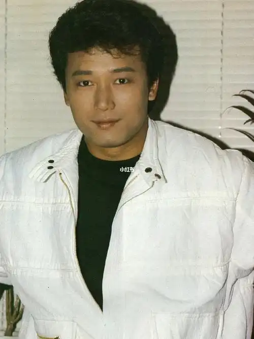 年轻的苗侨伟颜值帅气60