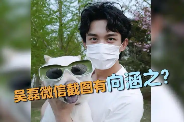网曝吴磊微信截图称看见向涵之好友公开向涵之头像辟谣