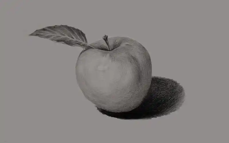 【零号素描法则】(零基础素描)画苹果最没套路的手法!