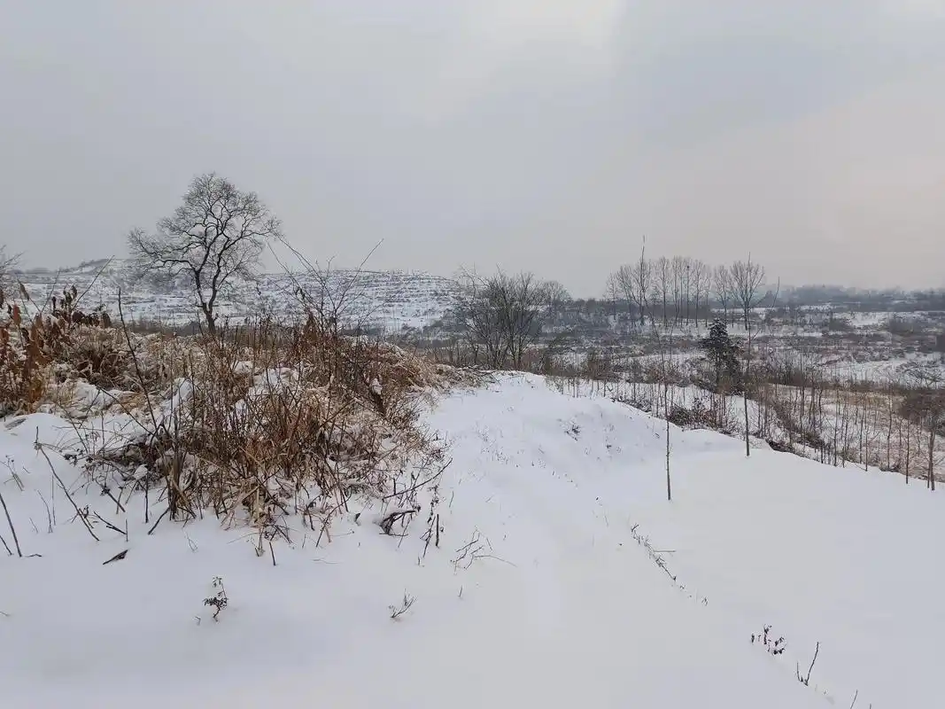 老家乡村的雪景,真是美不胜收,值得欣赏一番!#记录真实生活 - 抖音