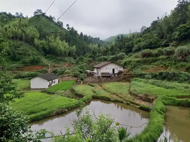 乡村随笔(下山大窝)