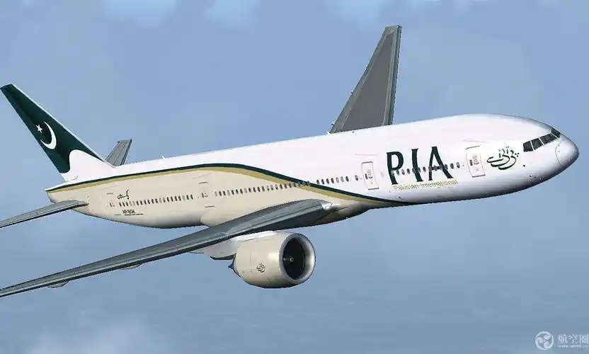 飞机站票!巴基斯坦航空航班超载 过道上站了7人