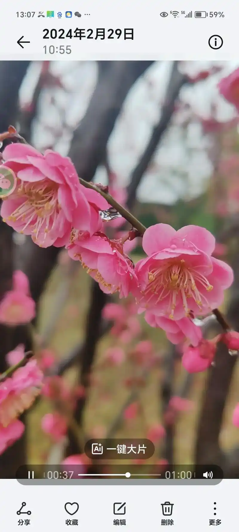 叶龙飞一拍腚走了,这下可苦了章梅花老师了