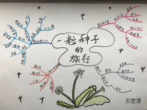 探究课1:《一粒种子的旅行》