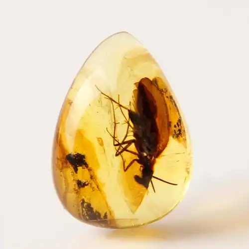 思华年w5711天然多米尼加琥珀昆虫蜘蛛蚂蚁虫珀原石标本无孔戒面