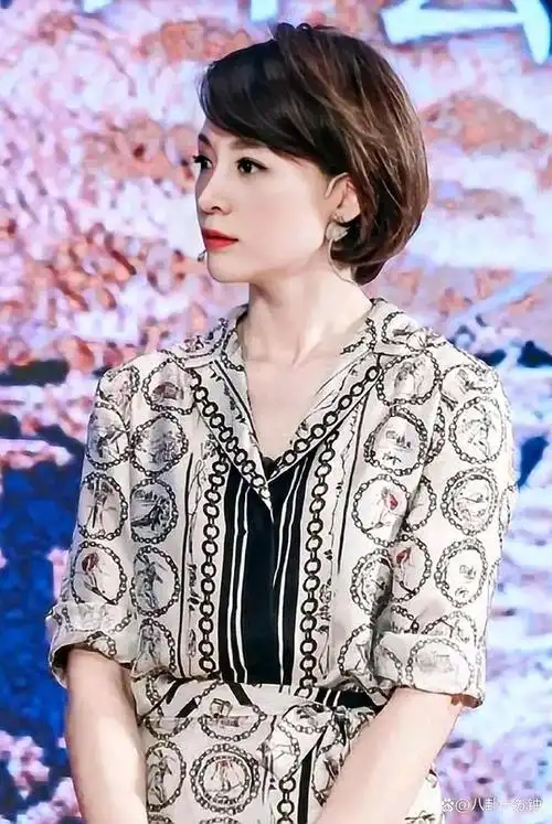 董卿的一组高清美照