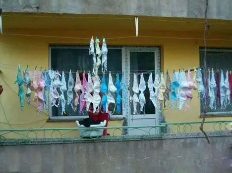 人类已经不能阻止你晾胸罩了