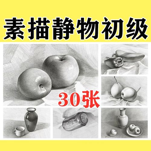 素描静物初级中级美术高考入门几何石膏体绘画考级临摹卡范画a4a5