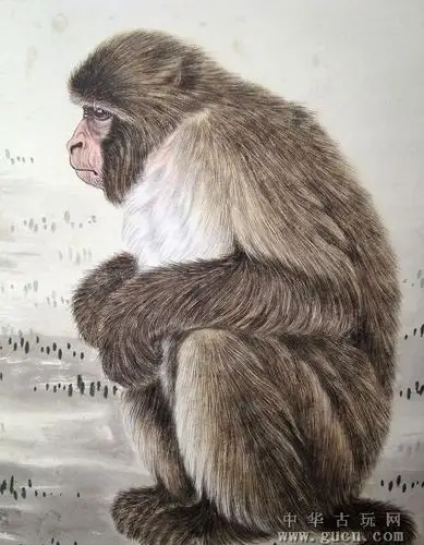 中国美术协会会员,四川省美术家协会会员王申勇《工笔