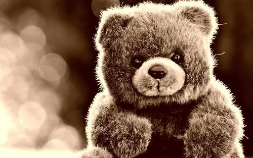 3333/5(6人评分)所属分类:其它,玩具原图分辨率:2880x1800下载此壁纸