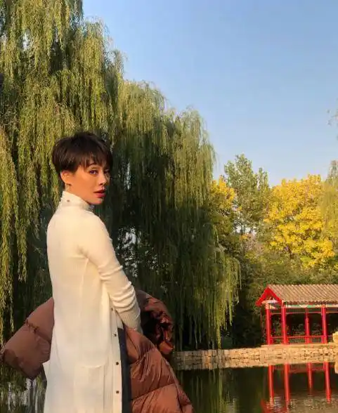 宁静否认改变国籍,在娱乐圈闯荡25年,她还是像个异类_性格_父母_儿子