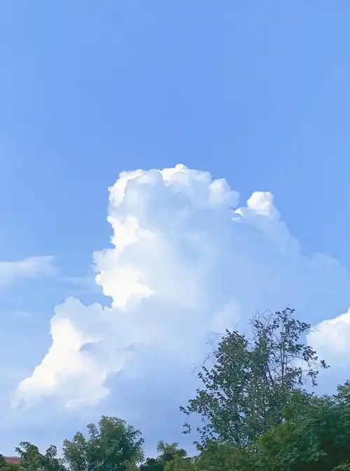 浅蓝色纯净背景图片【浅蓝色清新壁纸】