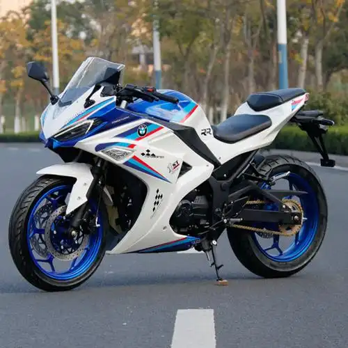 全新机车地平线公路双缸忍者v6电喷跑车摩托车摩托车整车