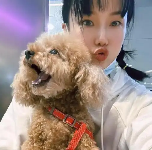 黄龄晒抱狗照素颜状态也抵挡不住她的清新可爱