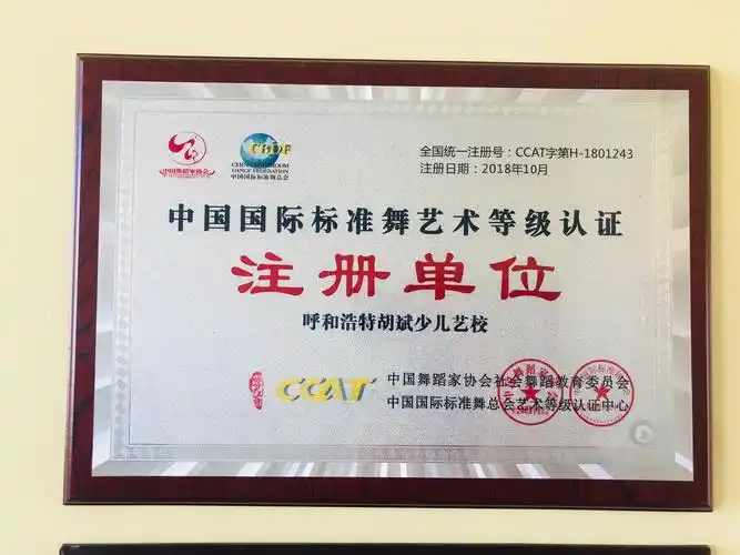 ccat呼和浩特市国标舞教学,考级基地.