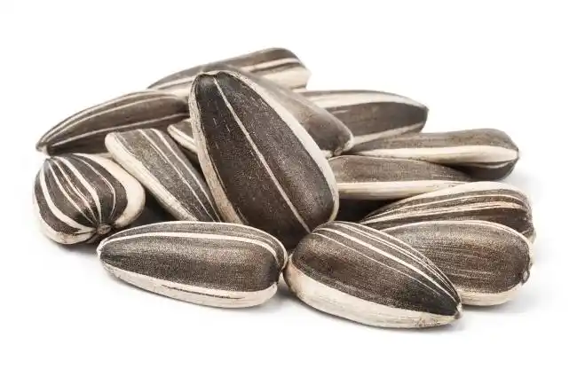 过年嗑瓜子那些事儿