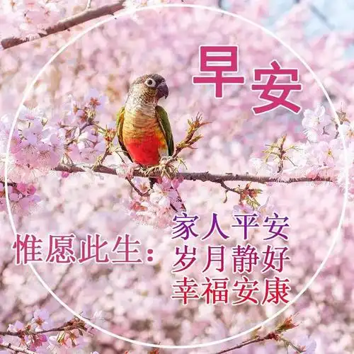 早上好!精选早安图片伴你起床,问候温暖每一天