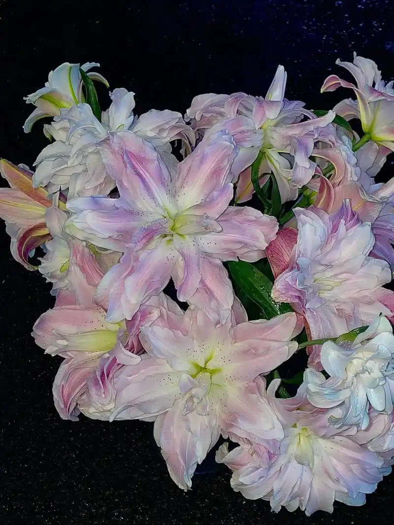 夜晚雨下的重瓣百合.#我的花花如此的美 #我的花店日常 #重 - 抖音