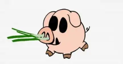 要说起歇后语,寓意不在前面这一句话,而是在后面那句话,就来说说猪鼻