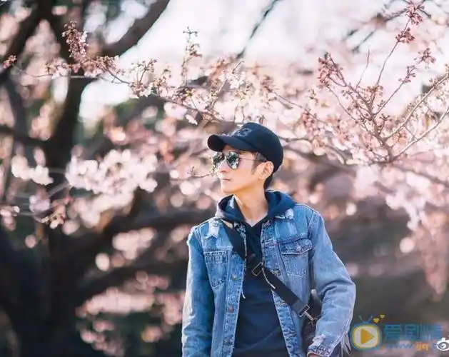 李维嘉个人资料李维嘉个人写真