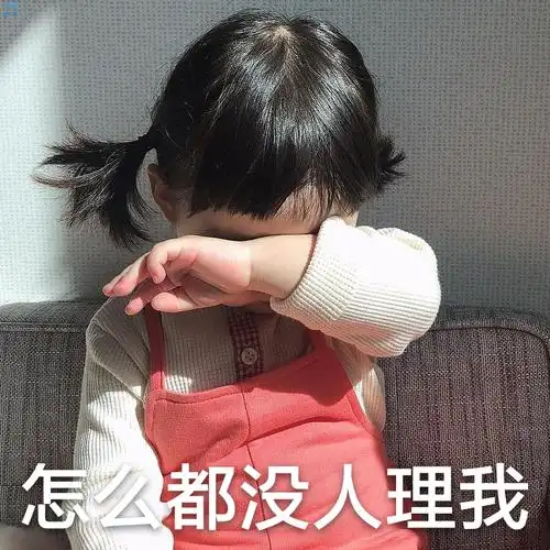 怎么都没人理我(罗熙)