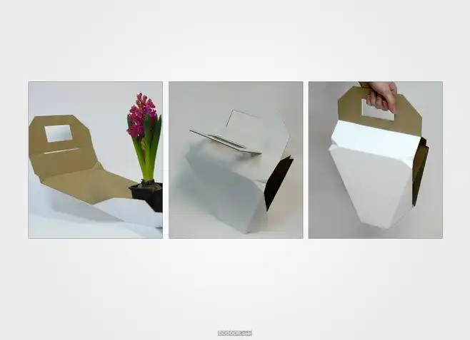 可爱的瓦楞纸便携手提花卉包装设计-milena wlodarczyk [7p] (4).jpg