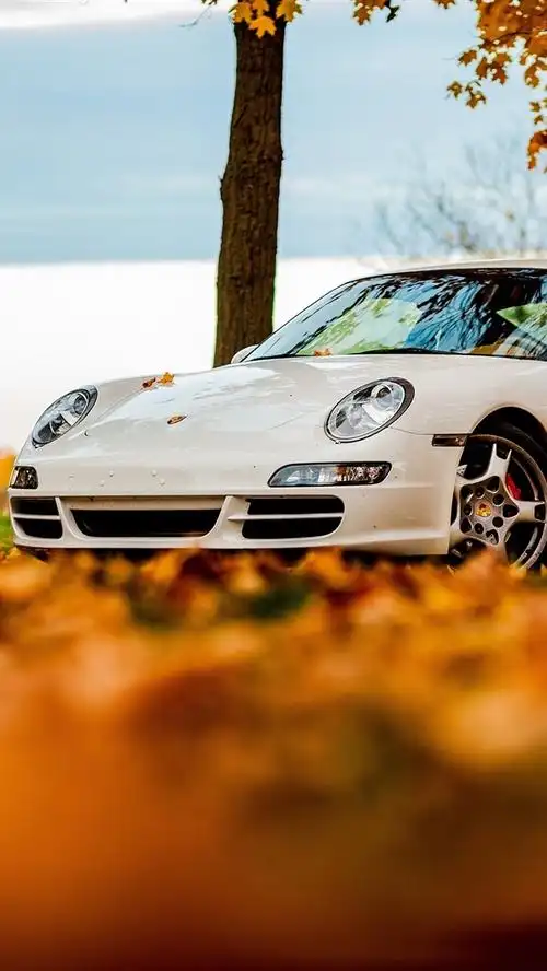 壁纸 白色保时捷911汽车,秋叶 2880x1800 hd 高清壁纸, 图片, 照片