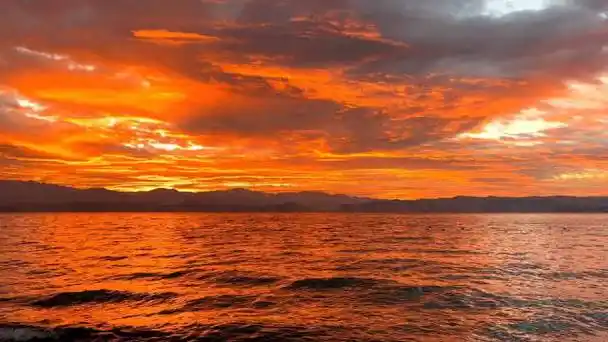 早上的第一缕阳光带给你祝福和温暖…_新浪新闻