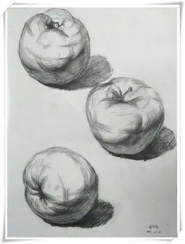 艺风美术初级素描班学员--林佳音