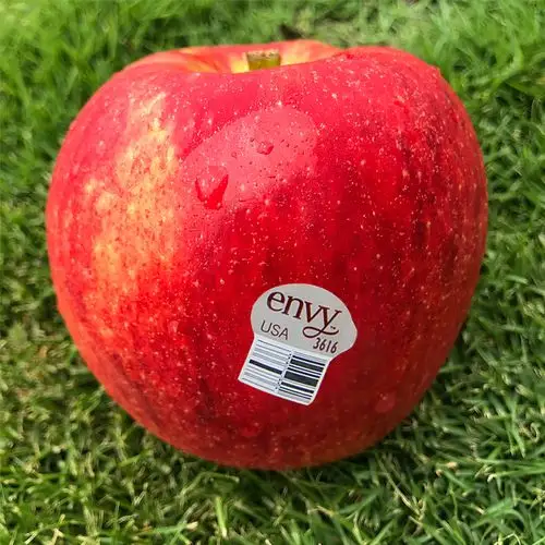 现货美国爱妃苹果进口envy苹果新鲜水果脆甜不氧化苹果礼盒15只