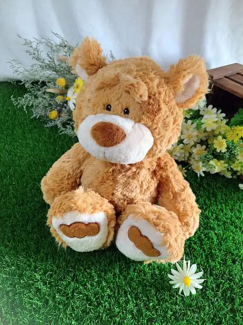 泰迪熊honey德国nici熊大哥强尼毛绒公仔抱抱熊公仔娃娃呆萌熊可爱